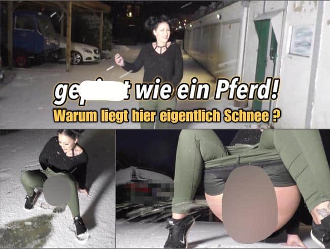 gepisst wie ein Pferd !!