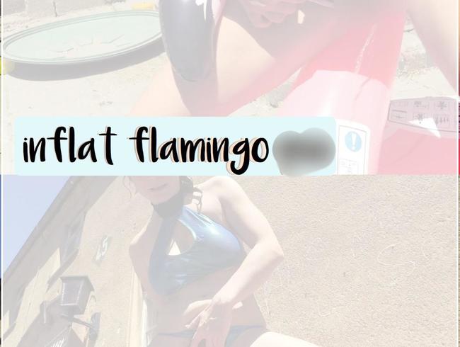 inflat flamingo piss