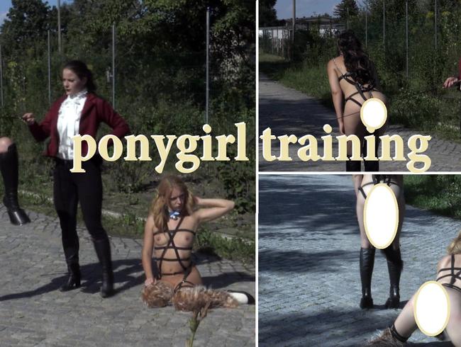 ponygirl training