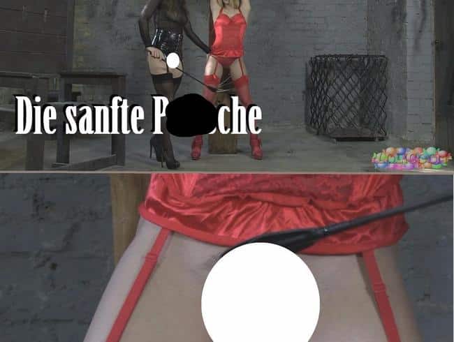 Die sanfte Peitsche