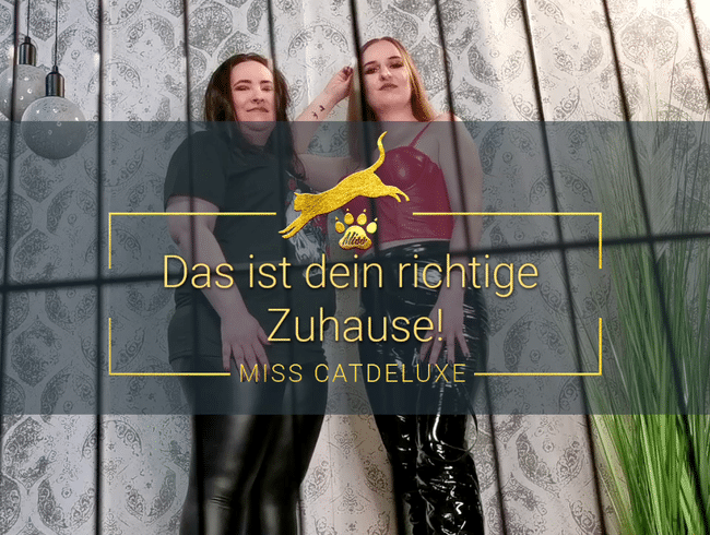 Das ist dein richtiges Zuhause!