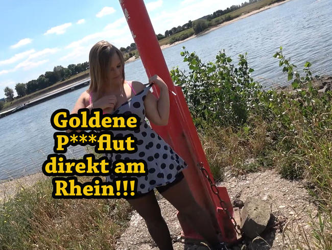 Goldene Pissflut direkt am Rhein!!!