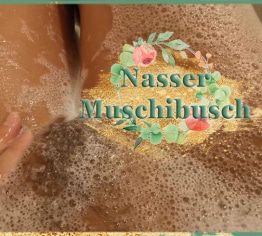 Nasser Muschibusch I Userwunsch