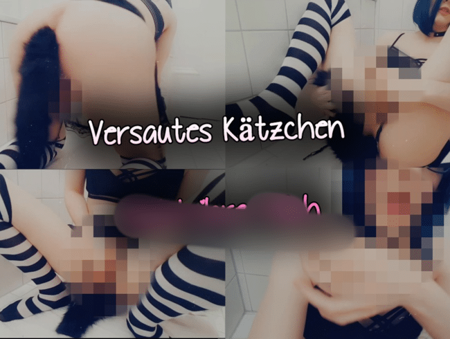 Versautes Kätzchen leckt ihre Milch