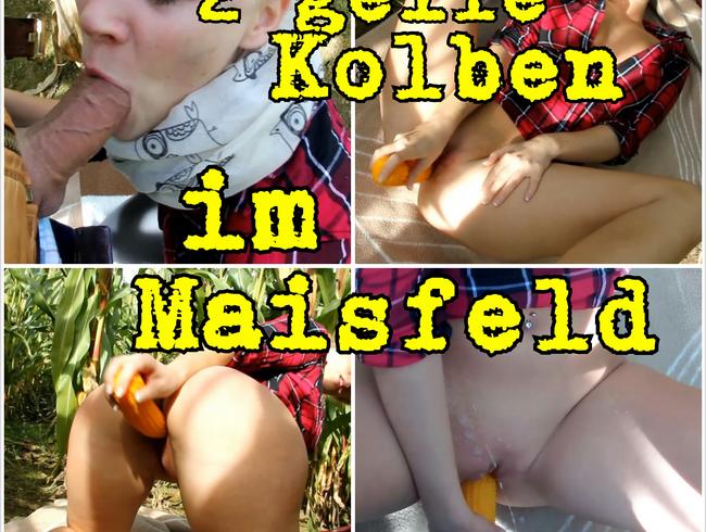 2 geile Kolben im Maisfeld