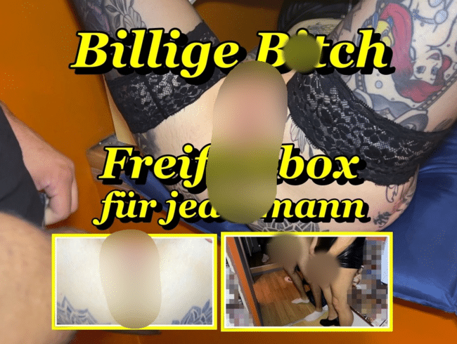 Billige Bitch Freifickbox für Jedermann