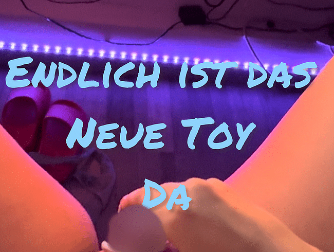 Endlich ist das neue Toy da